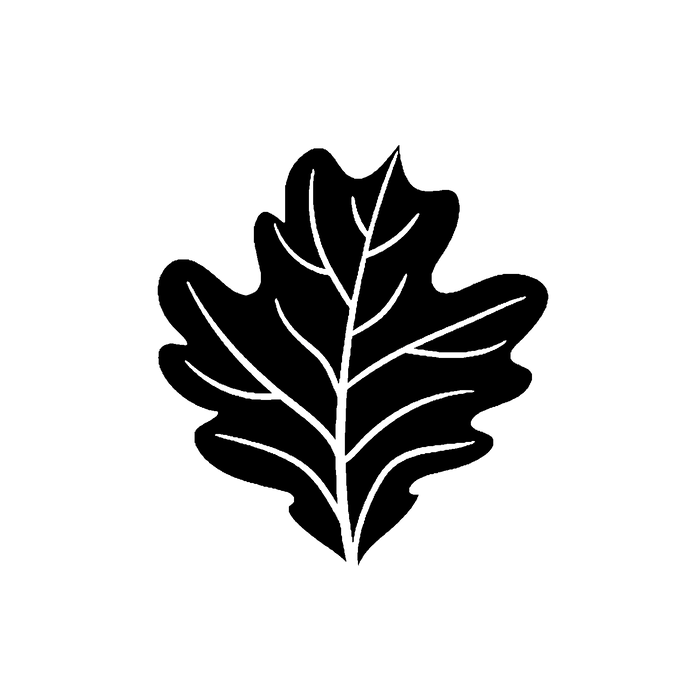 A simple Oak Leaf Icon