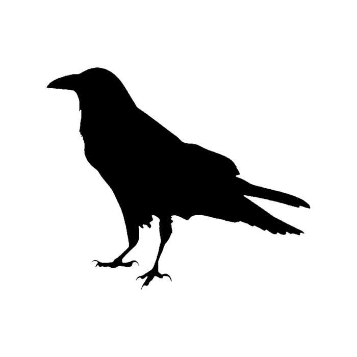 A simple Raven silhouette