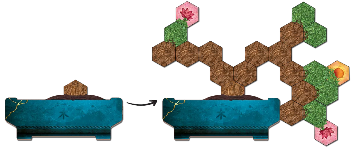Bonsai