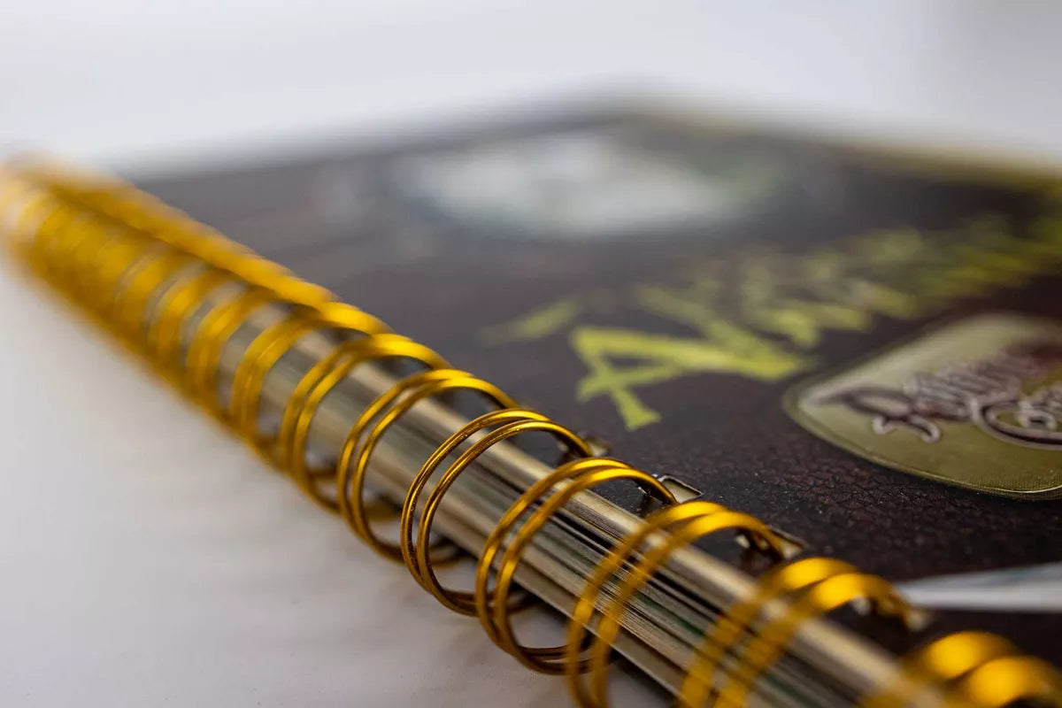Robinson Crusoe: The Book of Adventures