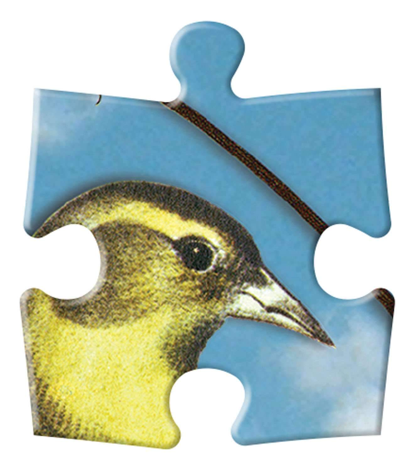 Bird's Sinfonia - Christian Lacroix, Premium Double-Sided Puzzle (250 pieces)