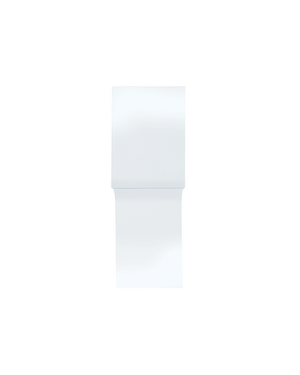 Dragon Shield - 100 Sealable Perfect Fit Sleeves